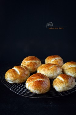 Petits pains au lait, czyli francuskie mleczne bułeczki