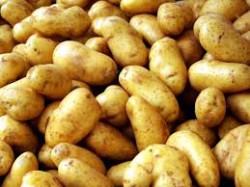 Historia ziemniaków