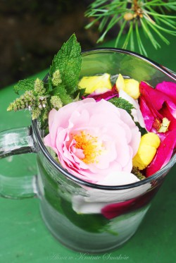 Orzeźwiający ziołowo – kwiatowy napój z melisy, mięty, kwiatów dzikiej róży i dziewannyAlina w K ...