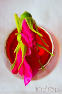 Nalewka mieszana z różą