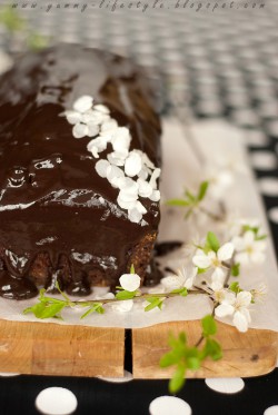 Ciasto czekoladowe z żurawiną i suszonymi morelami