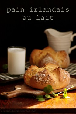 Irlandzki chleb na mleku