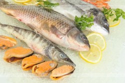 Ryby – porady praktyczne
